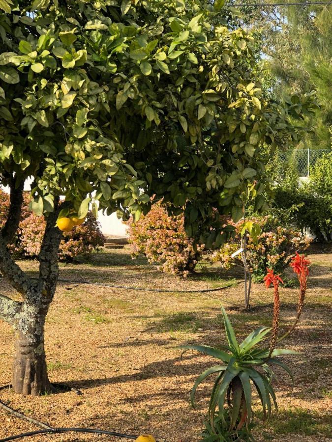 Quinta Verde Albufeira Eksteriør bilde