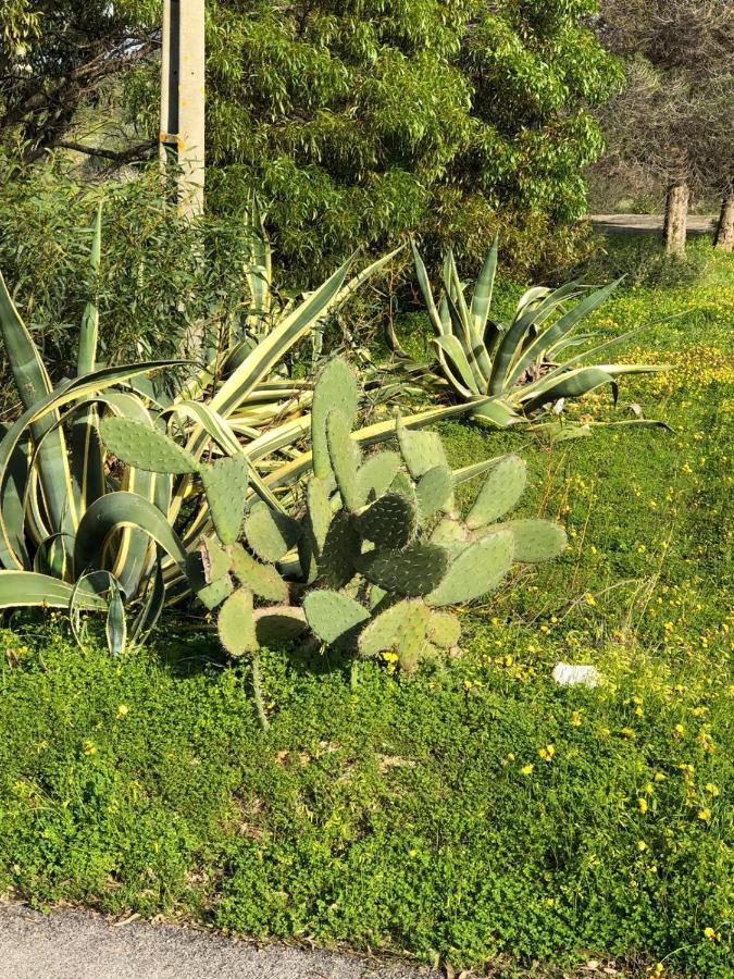 Quinta Verde Albufeira Eksteriør bilde