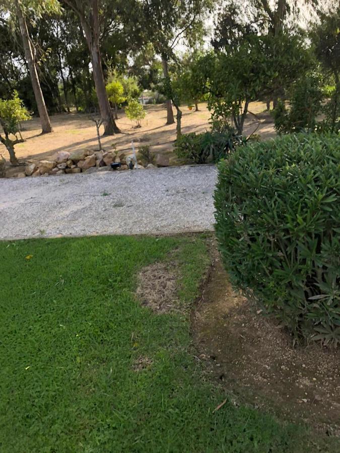 Quinta Verde Albufeira Eksteriør bilde
