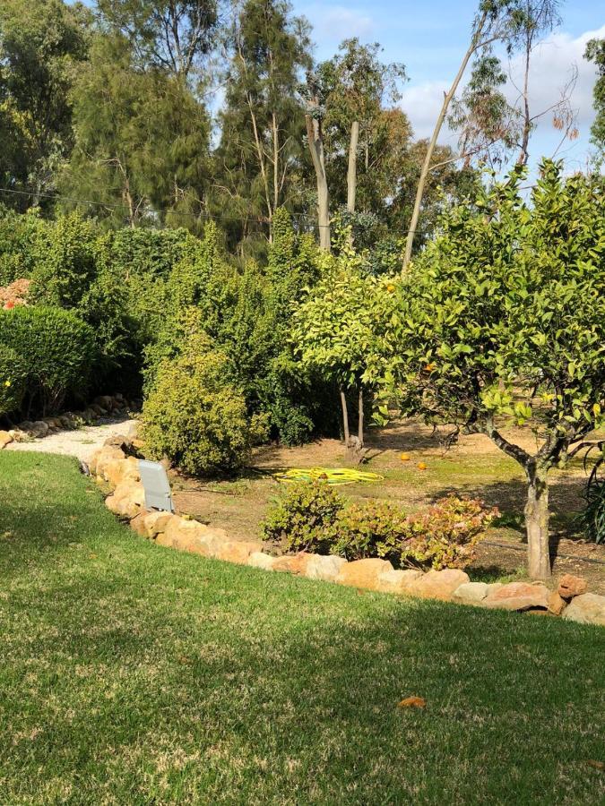 Quinta Verde Albufeira Eksteriør bilde
