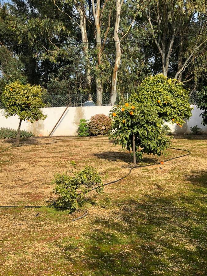 Quinta Verde Albufeira Eksteriør bilde